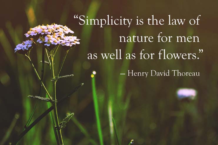 Simplicity is the law of nature for men as well as flowers - Thoreau